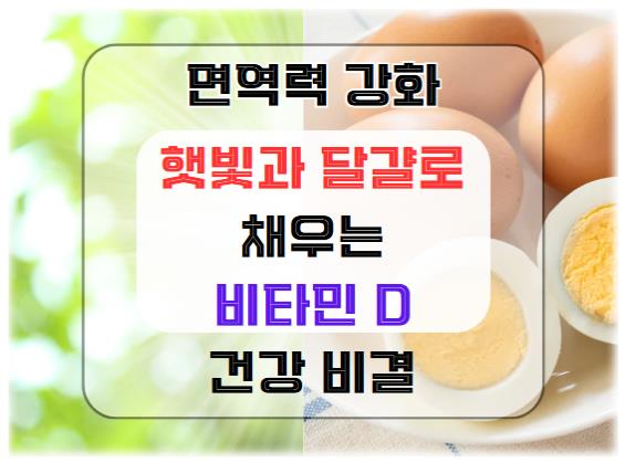 햇빛과 달걀로 채우는 비타민 D: 면역력을 강화하는 비결