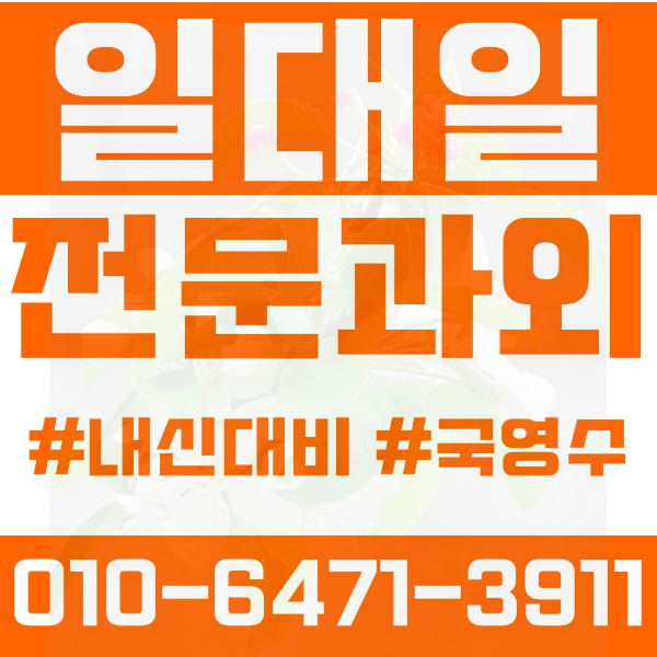  성남 야탑동 초등영어과외 중학생수학과외 선행 예습 복습