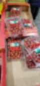 부산 코스트코 3월 휴가 및 할인 상품, 토마토 가격 24