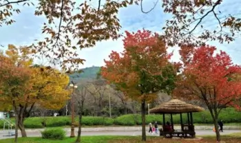 인천대공원