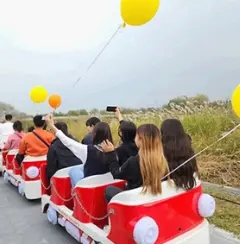 평택원평나루억새축제