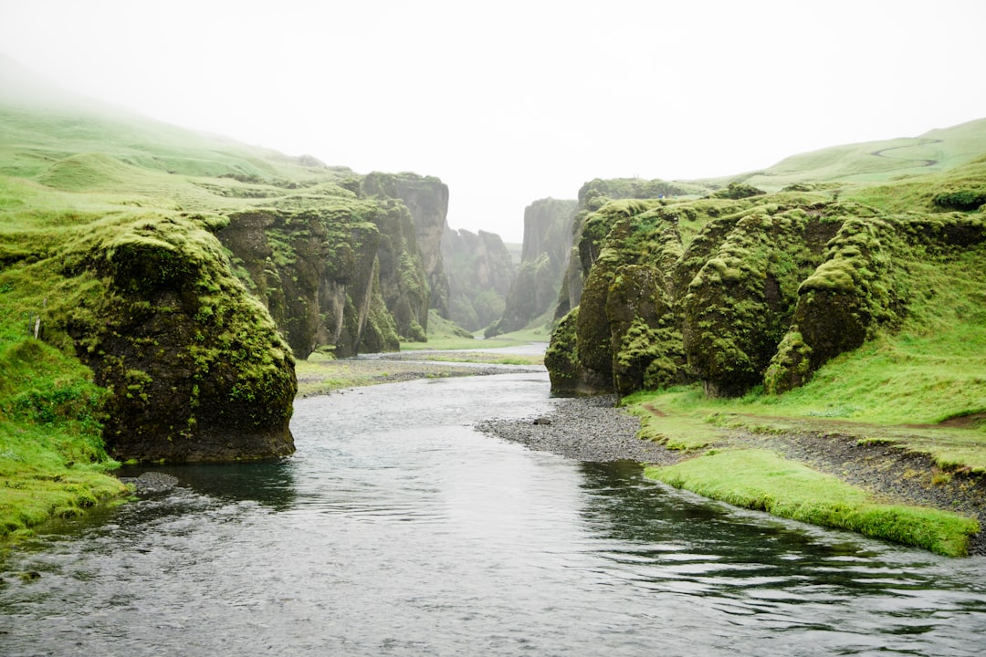 Stream