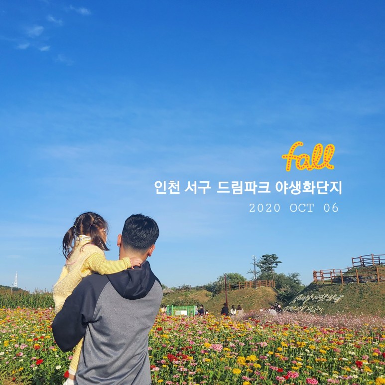 야생꽃한 가득 가을 향기 8