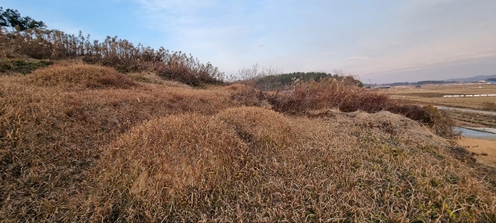 전주지방법원2022타경39862 본    건