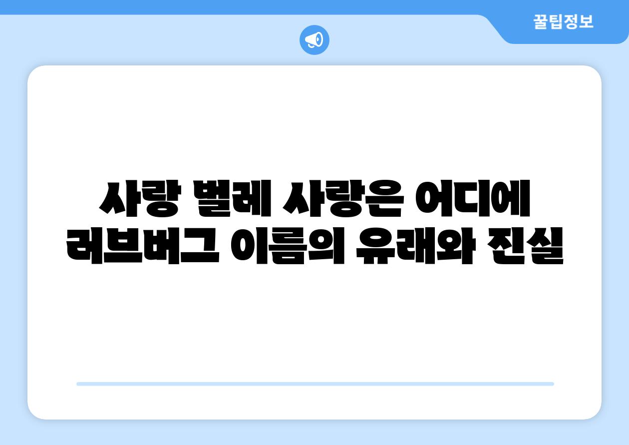 사랑 벌레 사랑은 어디에 러브버그 이름의 유래와 진실