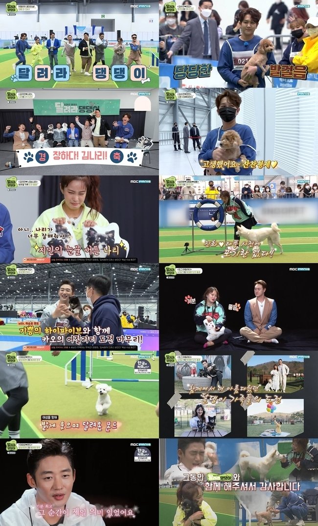  종영 ‘달려라 댕댕이’ 눈물과 감동 남긴 반려견 교감 프로젝트
