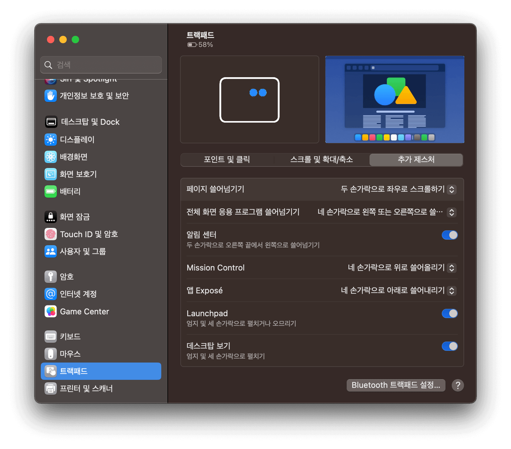 설정-트랙패드-추가제스처