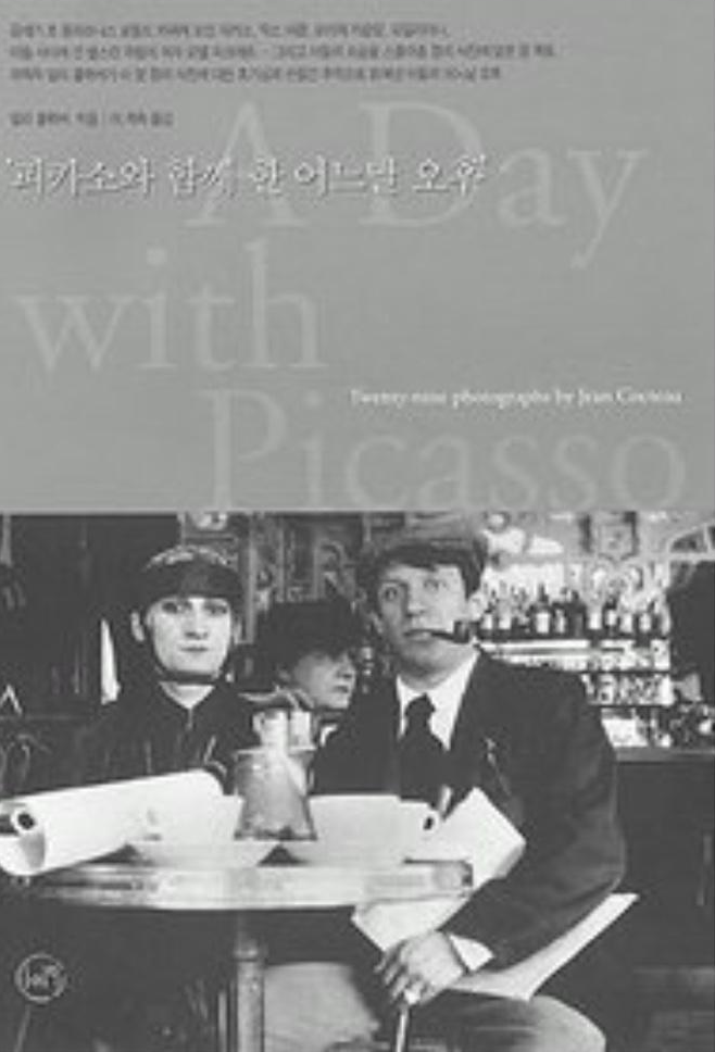  피카소와 함께 한 어느날 오후, 추리소설 같은 사진이야기