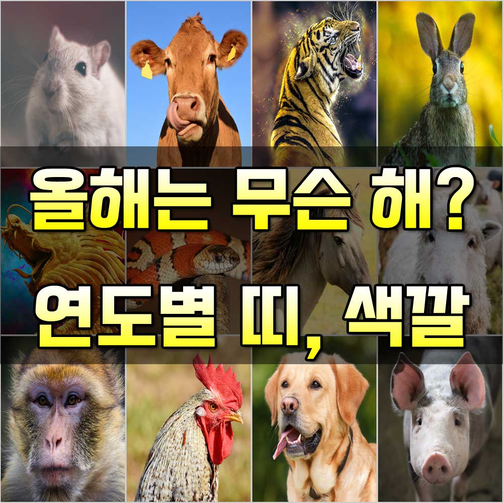 올해는 무슨 해?] 연도별 띠, 색깔 총정리