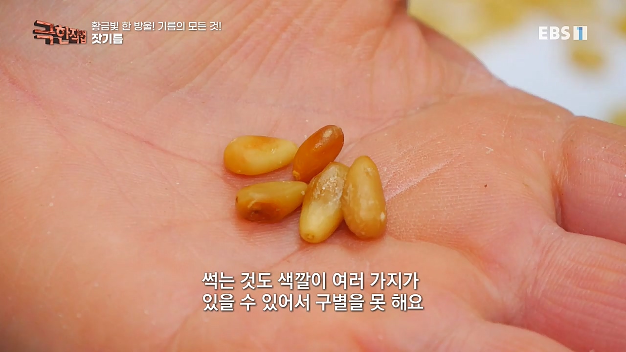 TV - 교육의 중심 EBS황금빛 한 방울! 기름의 모든 것!.mp4_20221031_191539.914.jpg