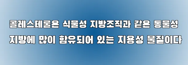  콜레스테롤은 식물성 지방조직과 같은 동물성 지방에 많이 함유되어 있는 지용성 물질이다