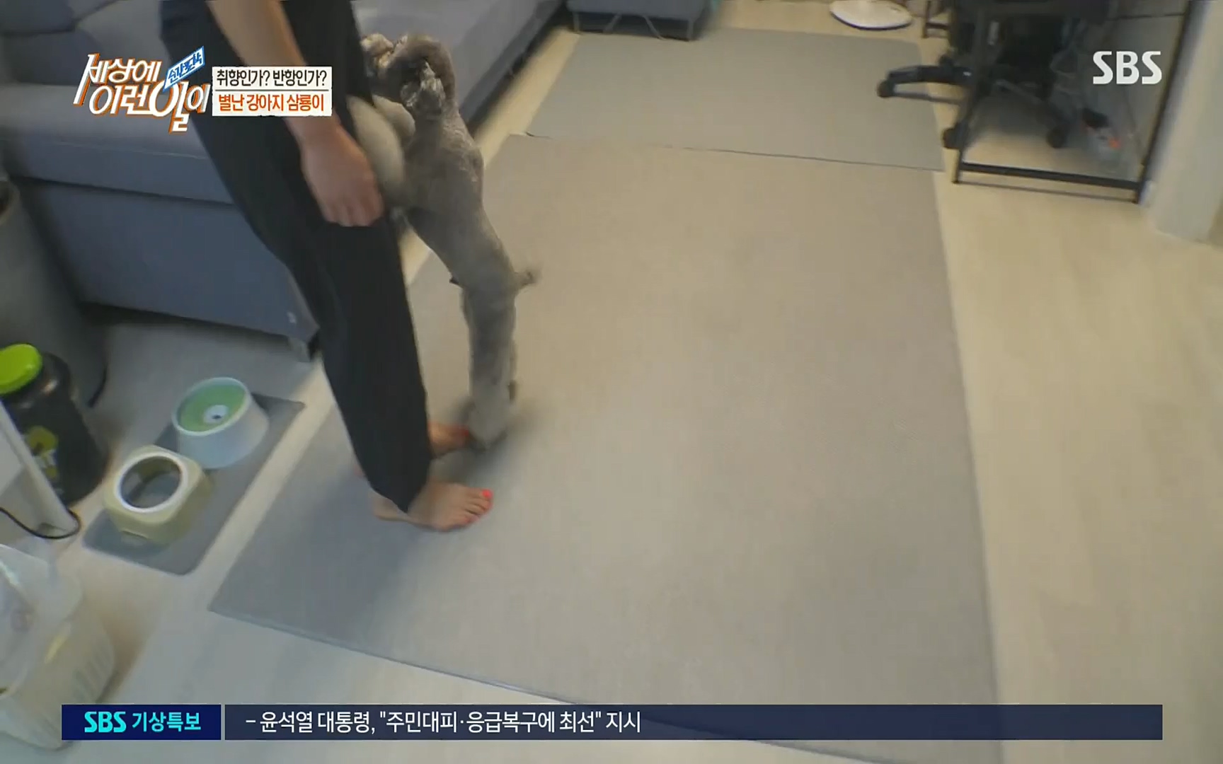순간포착 세상에 이런일이.E1192.220809p.H264-F1RST.mp4_20220810_203611.708.jpg