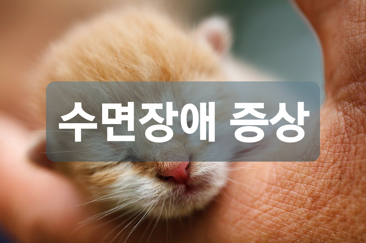  수면장애 증상