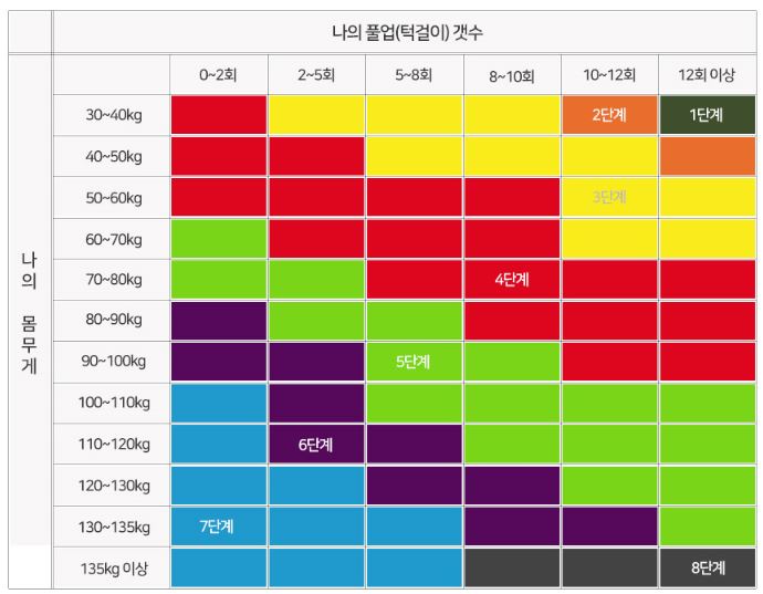  턱걸이 보조 밴드 사용 후기(6단계)
