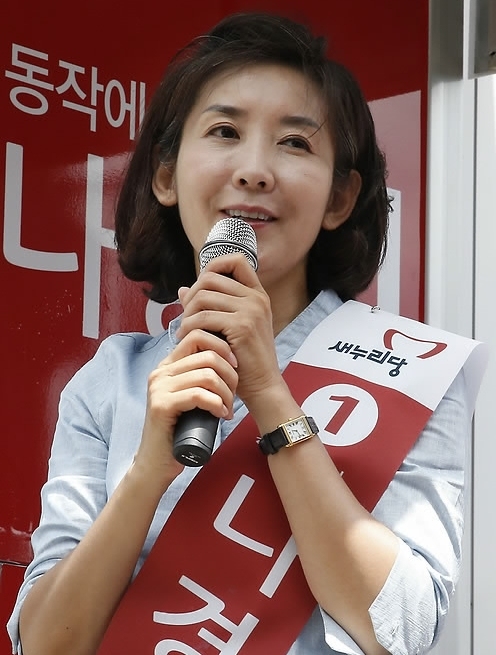 나경원 정치 활동 이미지