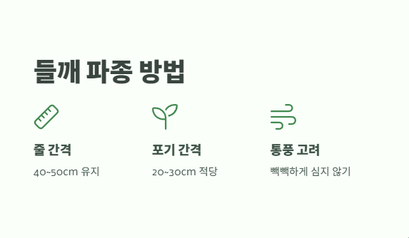 들깨 파종시기 한방에 정리 6