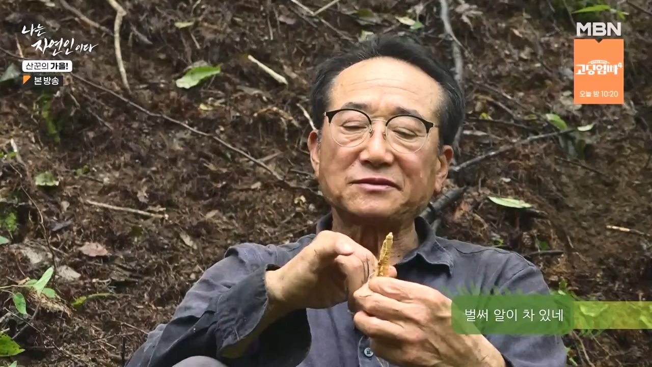 나는 자연인이다.E574.231005p-NEXT.mp4_20231005_200552.502.jpg