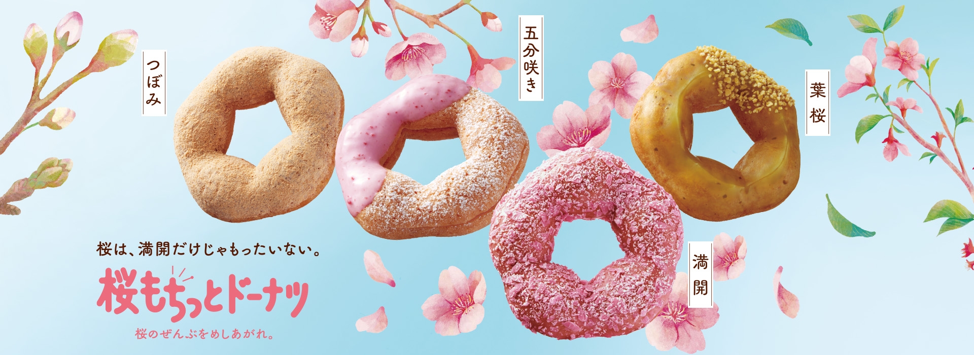 2023 일본 미스터 도넛 벚꽃 메뉴