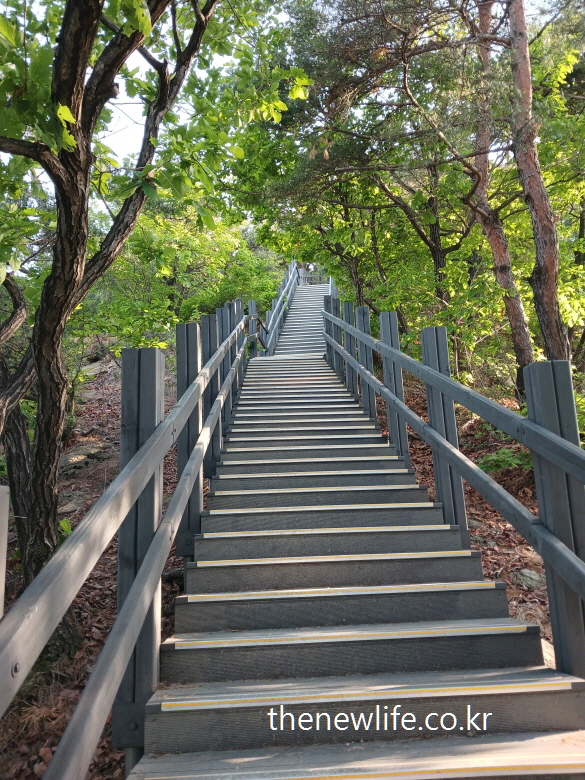 Steep mountain stair trail surrounded by fresh green trees-푸른 나무 숲에 둘러싸인 가파른 등산용 계단길