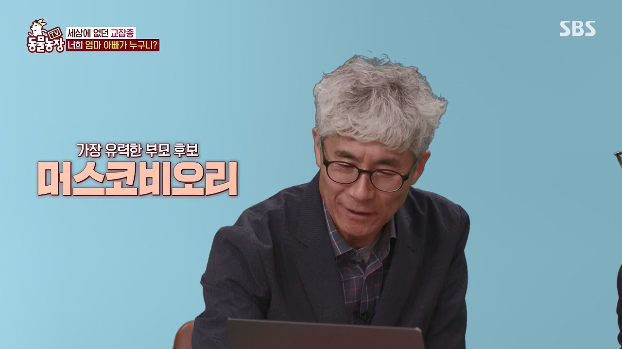 TV 동물농장.E1175.240610p-NEXT.mp4_20240609_160240.774.jpg