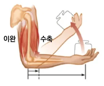파스 이미지