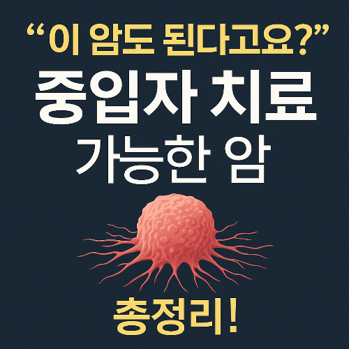 중입자 치료 가능한 암
