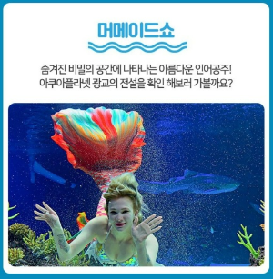 광교 아쿠아 플라넷 머메이드 쇼