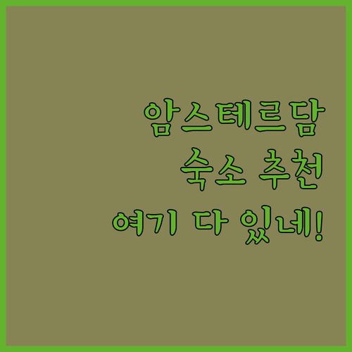 암스테르담 숙소 추천 B&B Kalv