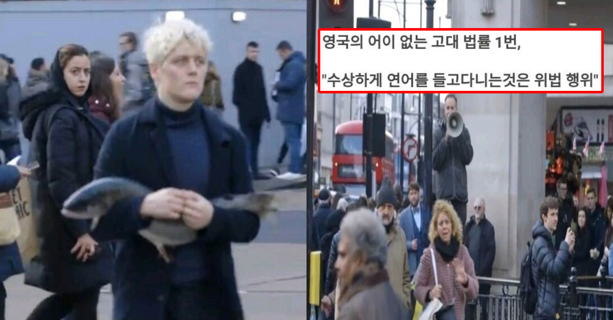  어이없는 영국의 고대 법률 어겨서 범죄자 되어보기