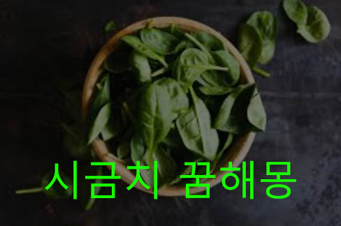 시금치 꿈해몽 총정리