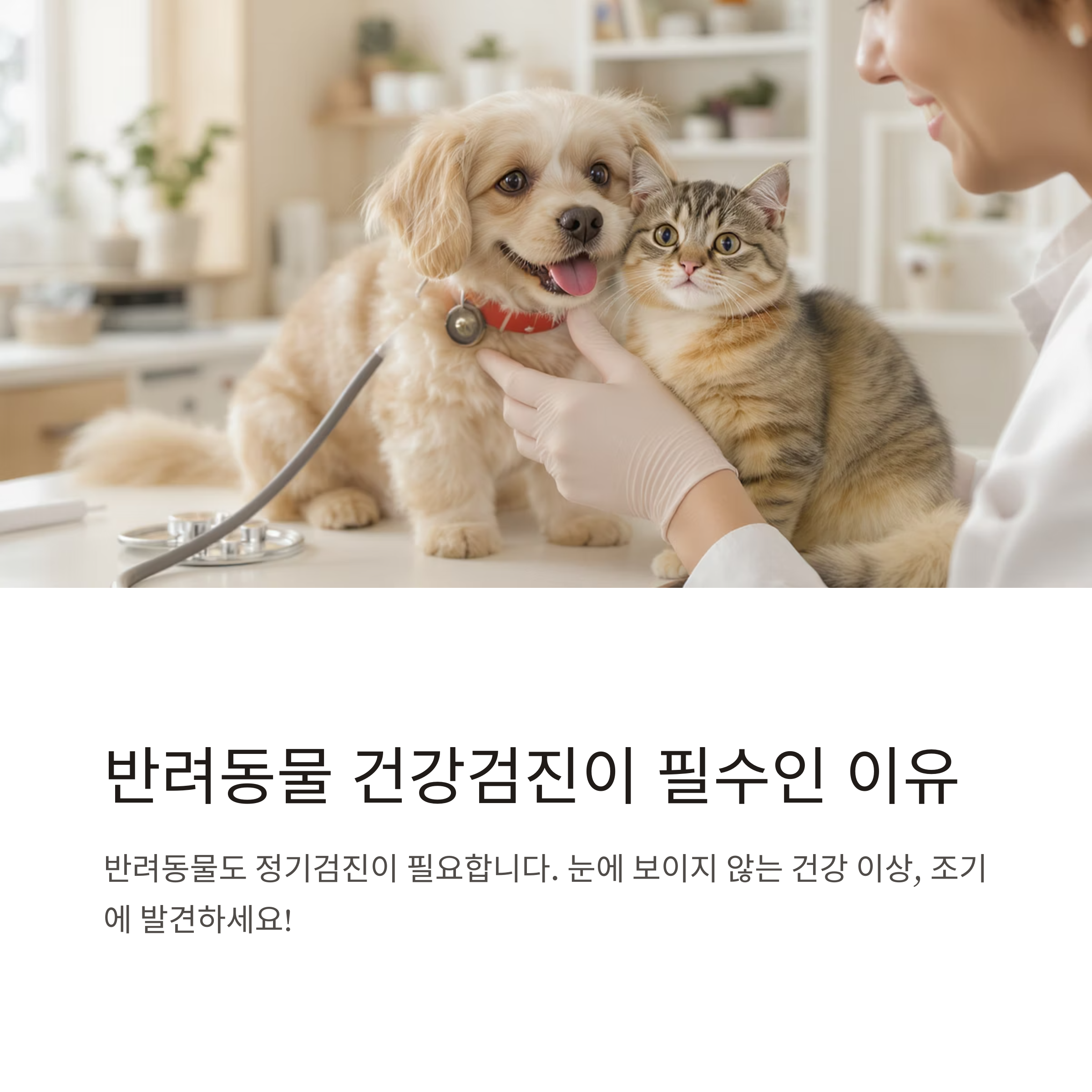 반려동물 건강검진, 꼭 받아야 하는 이유와 적정 주기