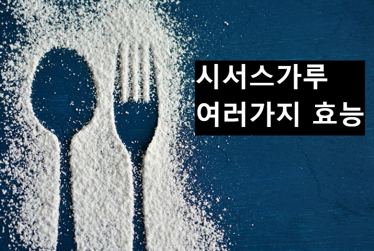  다이어트 뿐만 아니라 좋은 시서스 가루