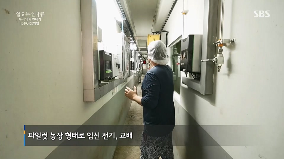 일요 특선 다큐멘터리.E315.230716p.H264-F1RST.mp4_20230717_210617.270.jpg