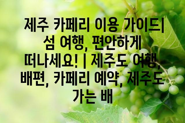 랜덤101