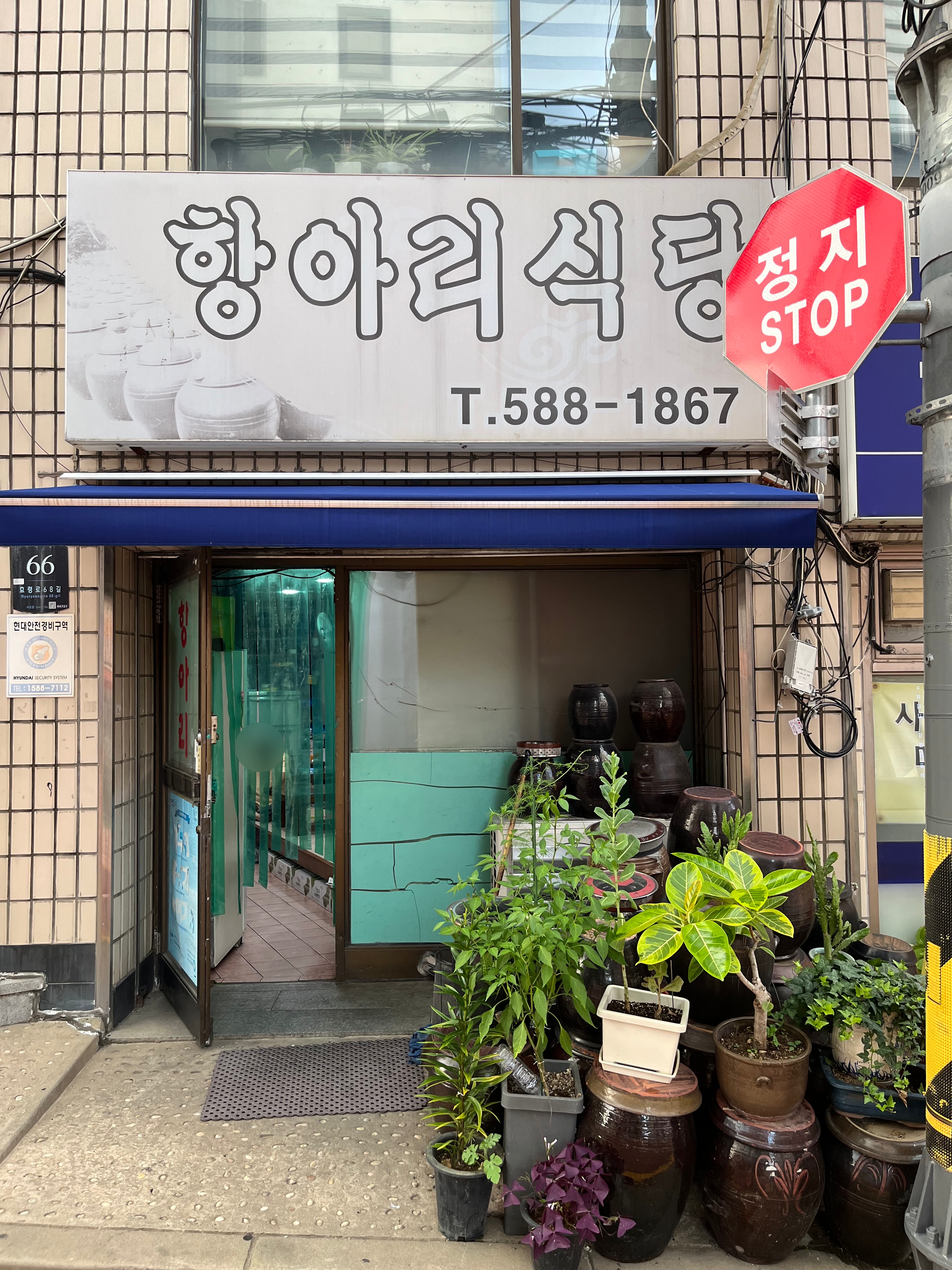 항아리식당 사진 6