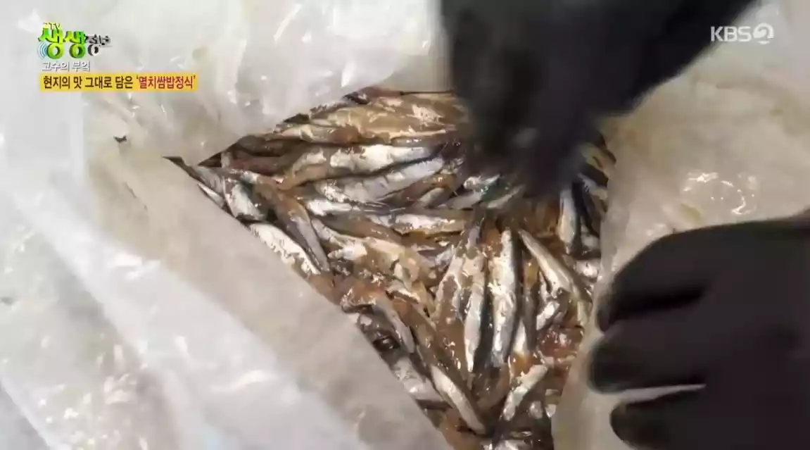 생멸치