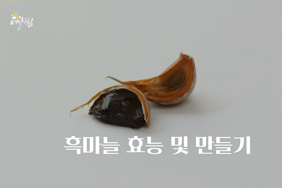  [매일아침좋은글] 흑마늘 효능 및 만들기 부작용 없이 섭취하기
