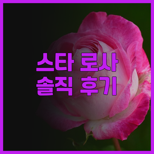 스타 로사 인 일로일로 코코텔 솔직 