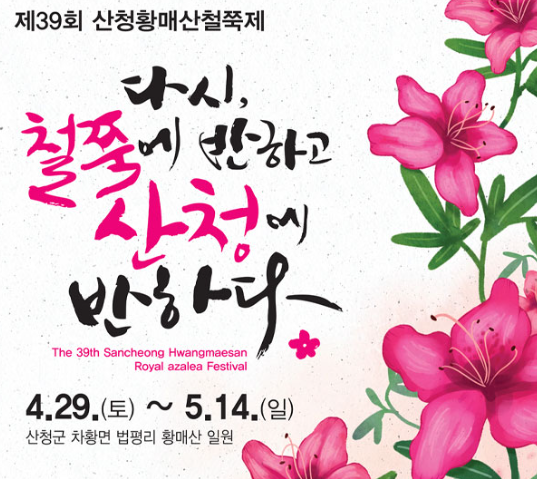  합천 가볼만한곳 산청황매산 철쭉축제 주차