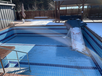-영진해변,영진횟집,바우카페, 파인힐 애견펜션,속초중앙시장 설연휴 분홍이와의 여행 30