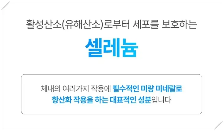 데이베리어 셀렌톡 효과_셀레늄