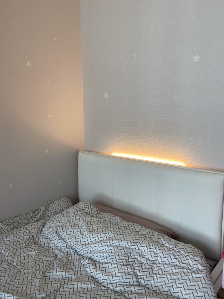 장인가구 침대 [내 돈 내고/이사일기] 장인가구 안단테 8