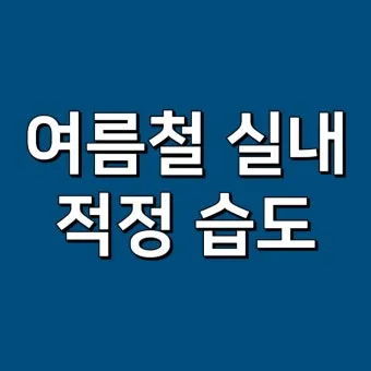 여름철 습도 관리 완벽 가이드 건강한 실내 환경_19