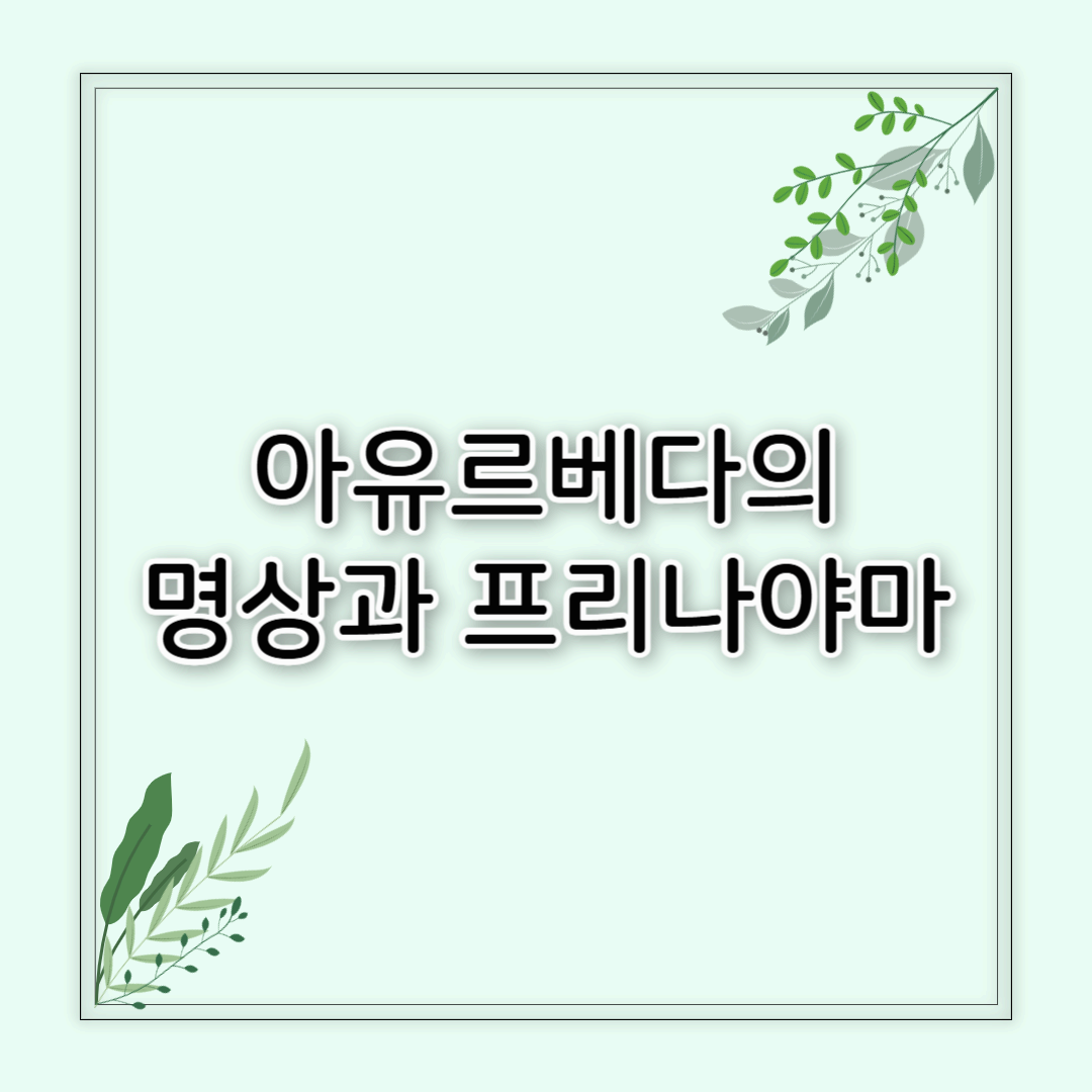 아유르베다의 명상과 프리나야마