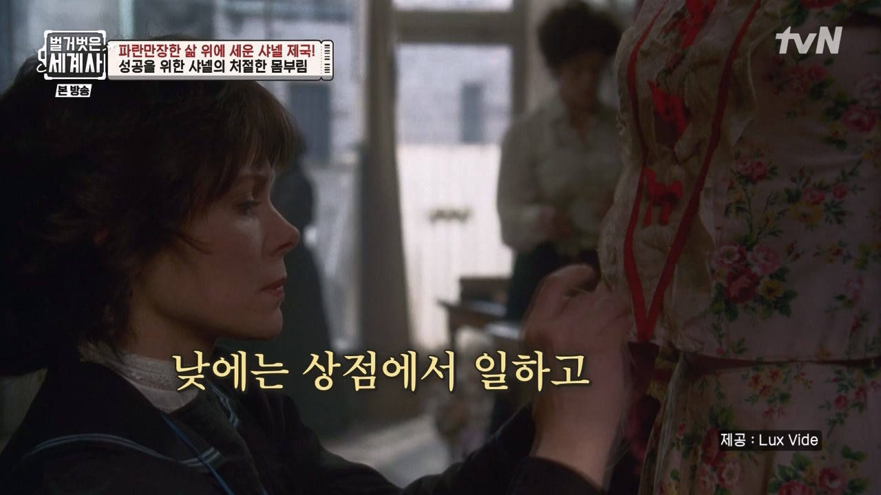 벌거벗은 세계사.E110.230802p-NEXT.mp4_20240217_190947.848.jpg