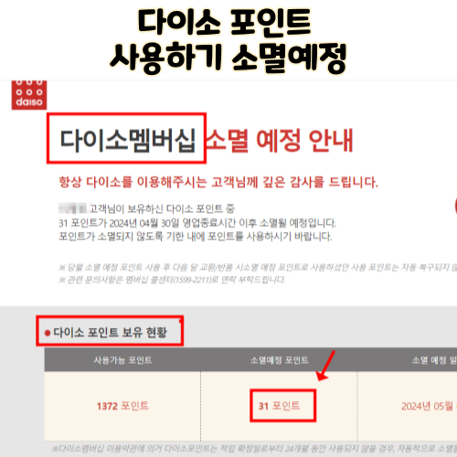  다이소멤버십 포인트 소멸 예정 다이소 포인트 사용