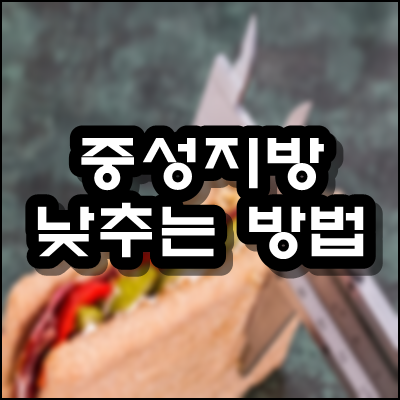  중성지방 낮추는 방법