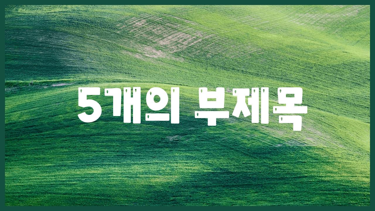  5개의 부제목