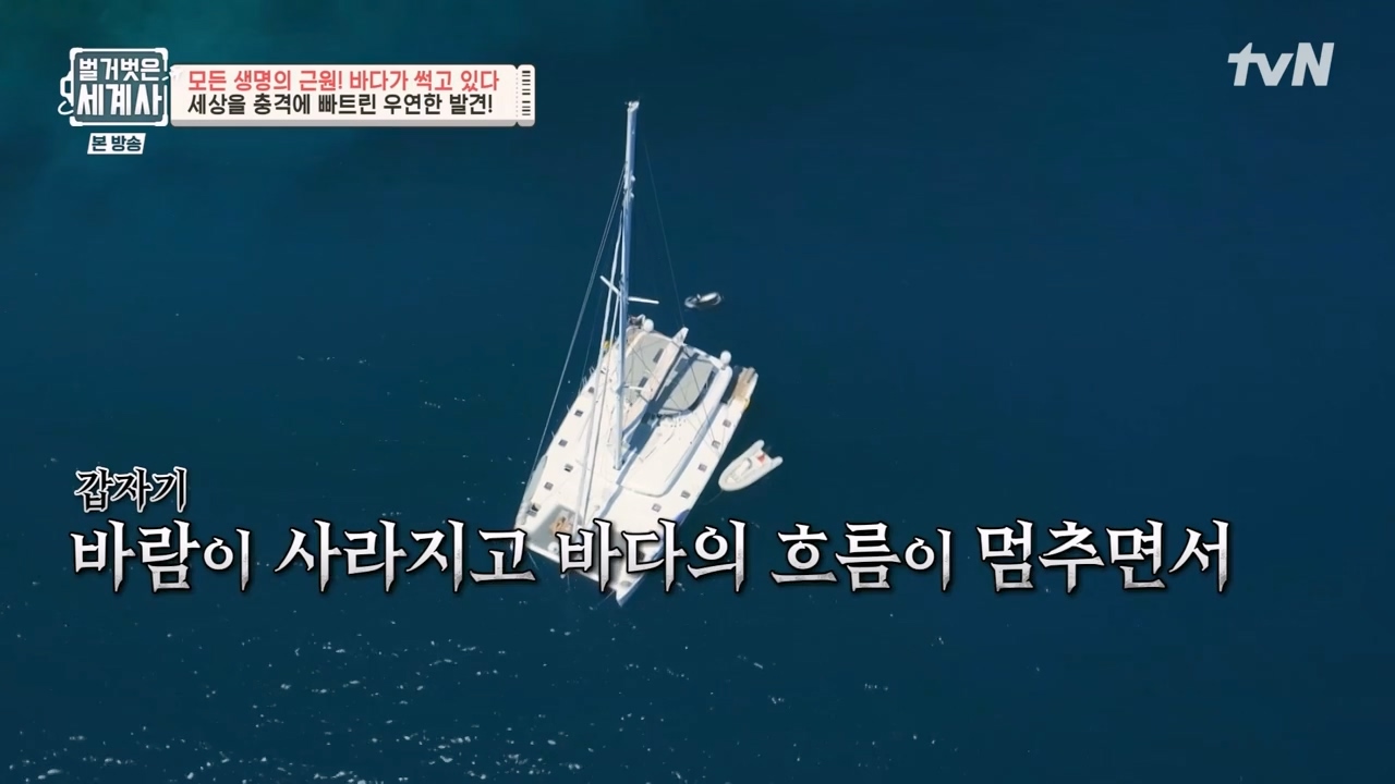 벌거벗은 세계사.E90.230315p-NEXT.mp4_20230419_204025.124.jpg