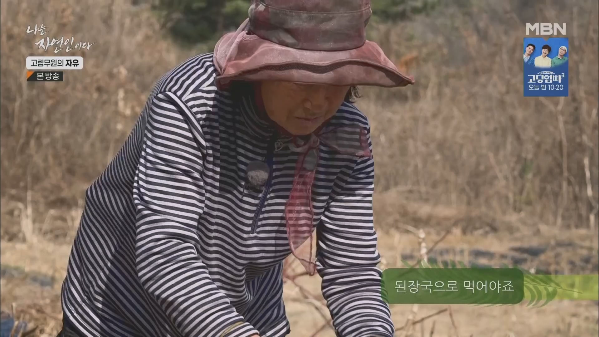 나는 자연인이다.E549.230412p.H264-F1RST.mp4_20230413_213155.290.jpg